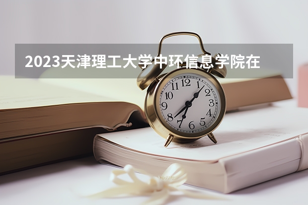 2023天津理工大学中环信息学院在北京高考专业招了多少人