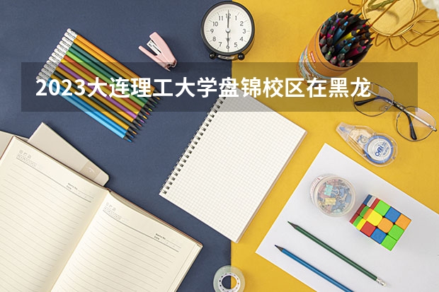 2023大连理工大学盘锦校区在黑龙江高考专业招了多少人