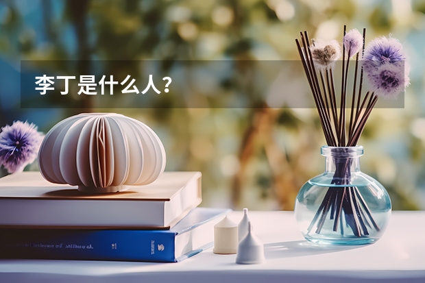 李丁是什么人?