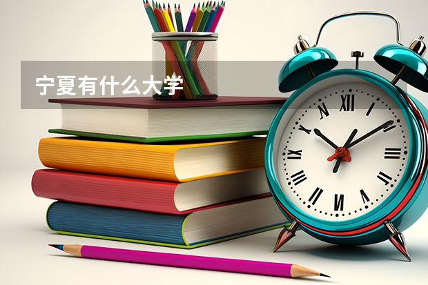宁夏有什么大学