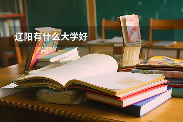 辽阳有什么大学好