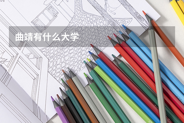 曲靖有什么大学