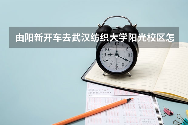 由阳新开车去武汉纺织大学阳光校区怎么走?谢