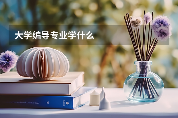 大学编导专业学什么