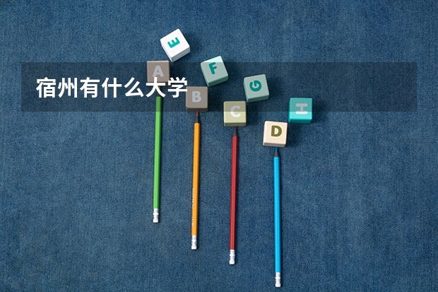 宿州有什么大学