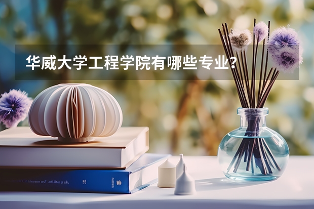 华威大学工程学院有哪些专业？
