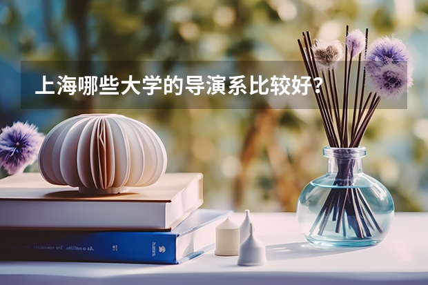 上海哪些大学的导演系比较好？