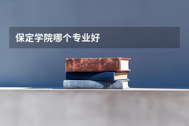 保定学院哪个专业好