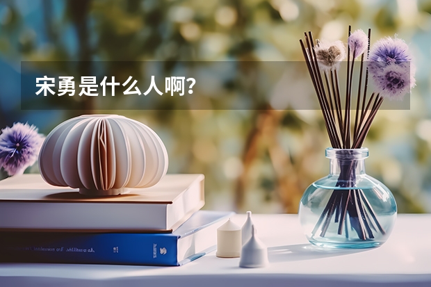 宋勇是什么人啊？