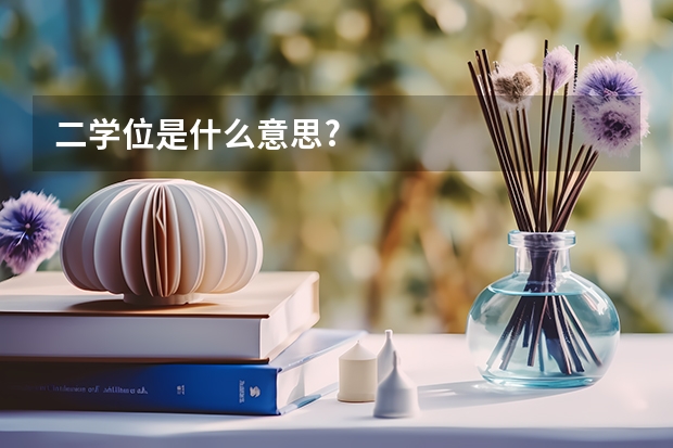 二学位是什么意思?
