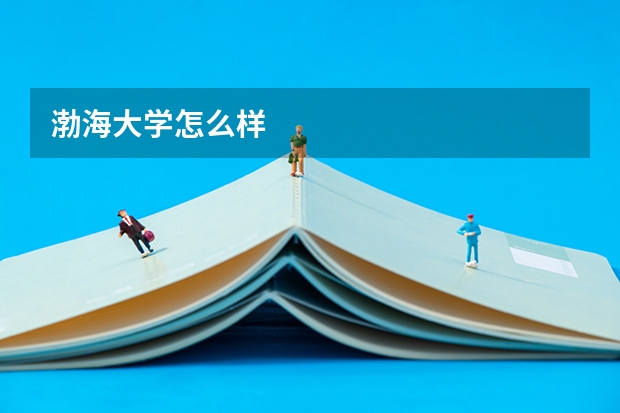 渤海大学怎么样