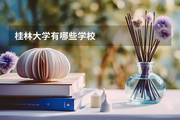 桂林大学有哪些学校