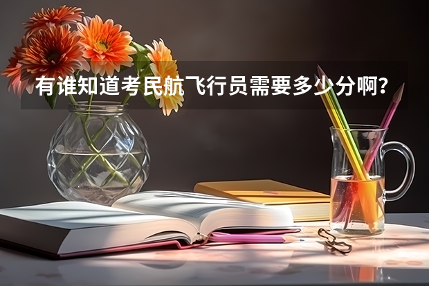 有谁知道考民航飞行员需要多少分啊？