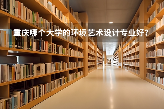 重庆哪个大学的环境艺术设计专业好？