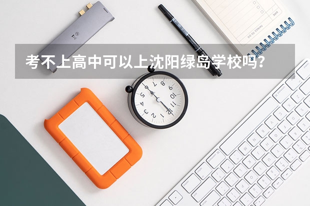 考不上高中可以上沈阳绿岛学校吗？