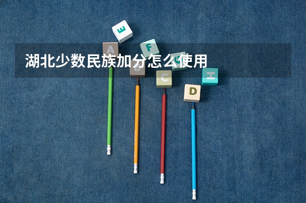 湖北少数民族加分怎么使用