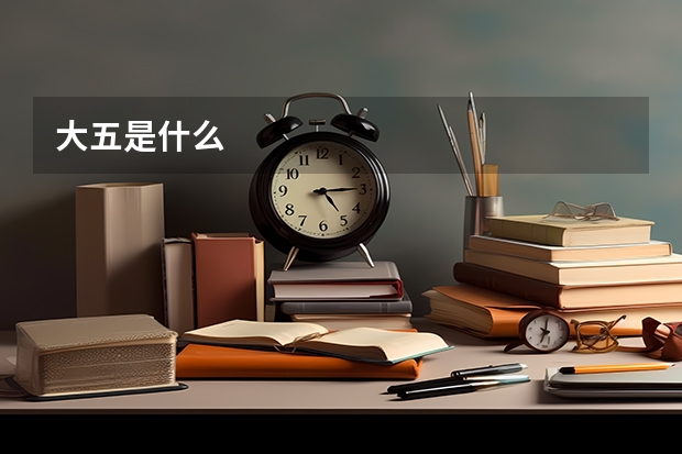大五是什么