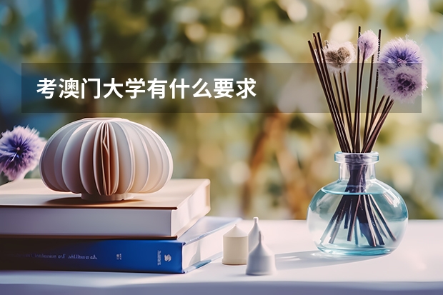 考澳门大学有什么要求