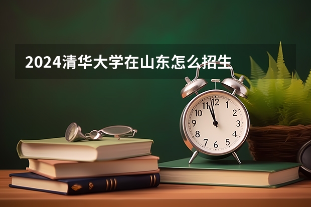 2024清华大学在山东怎么招生