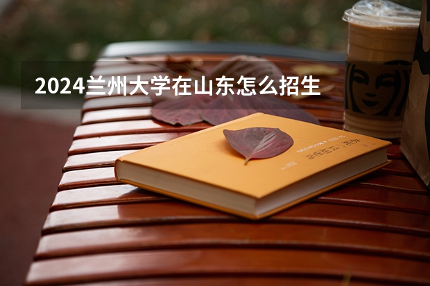 2024兰州大学在山东怎么招生