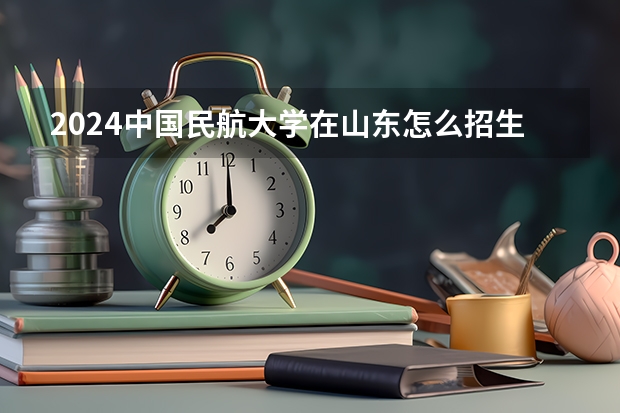 2024中国民航大学在山东怎么招生