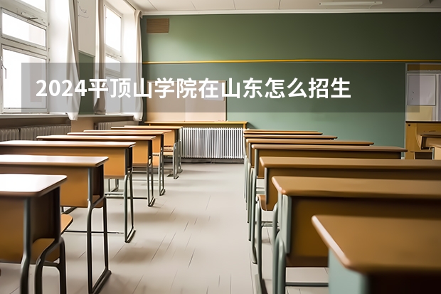 2024平顶山学院在山东怎么招生