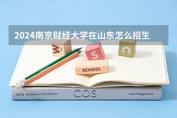 2024南京财经大学在山东怎么招生
