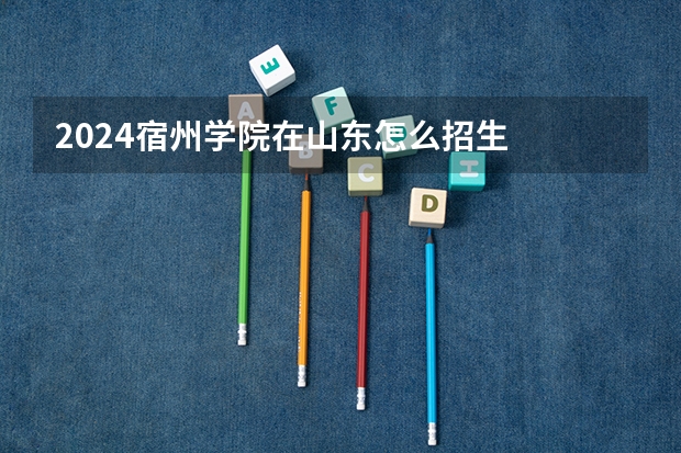 2024宿州学院在山东怎么招生
