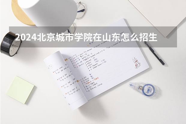 2024北京城市学院在山东怎么招生