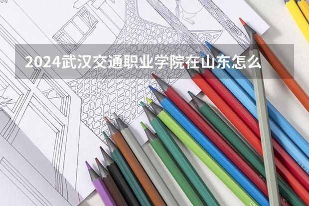 2024武汉交通职业学院在山东怎么招生