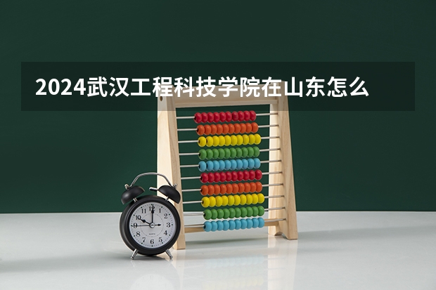 2024武汉工程科技学院在山东怎么招生
