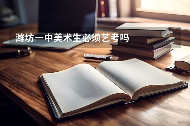 潍坊一中美术生必须艺考吗