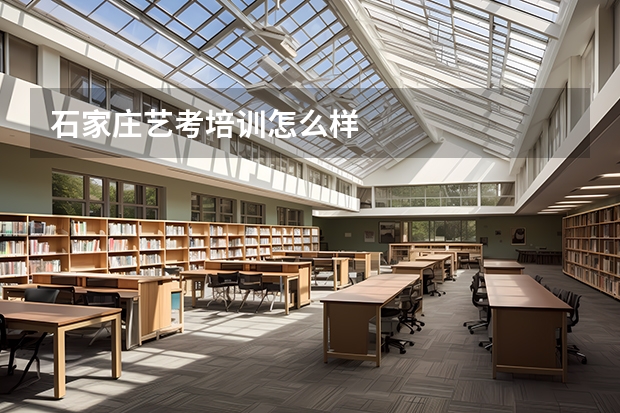 石家庄艺考培训怎么样
