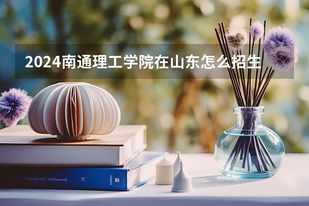 2024南通理工学院在山东怎么招生
