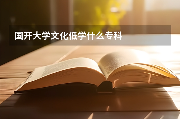 国开大学文化低学什么专科