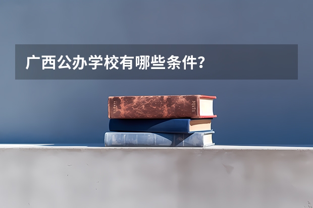 广西公办学校有哪些条件？