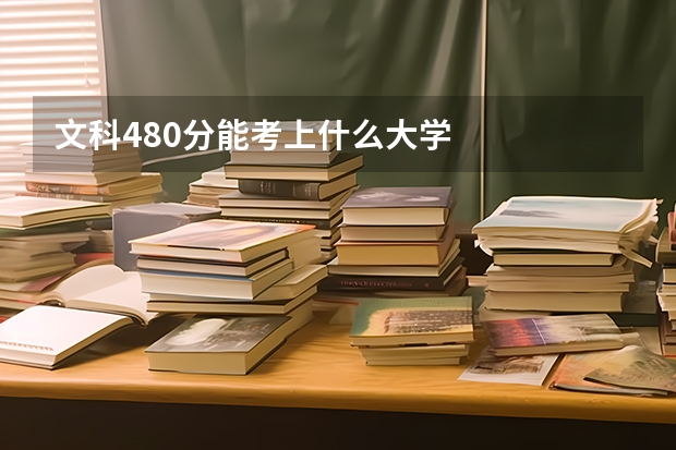 文科480分能考上什么大学