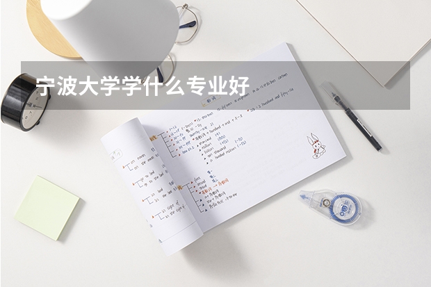 宁波大学学什么专业好