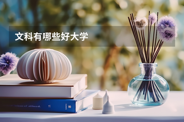文科有哪些好大学
