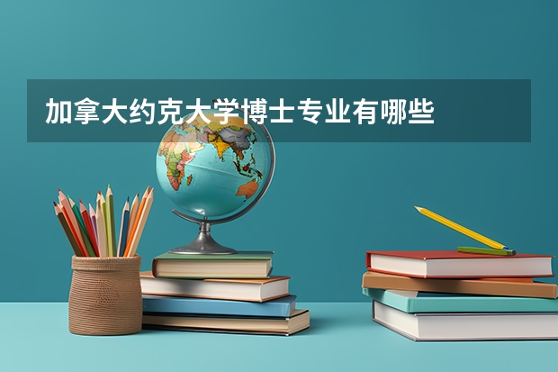 加拿大约克大学博士专业有哪些