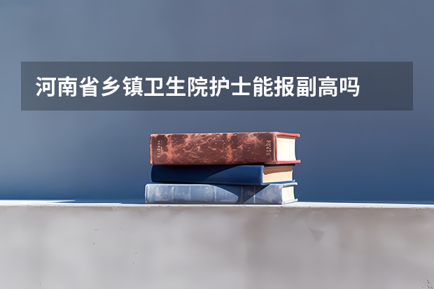 河南省乡镇卫生院护士能报副高吗