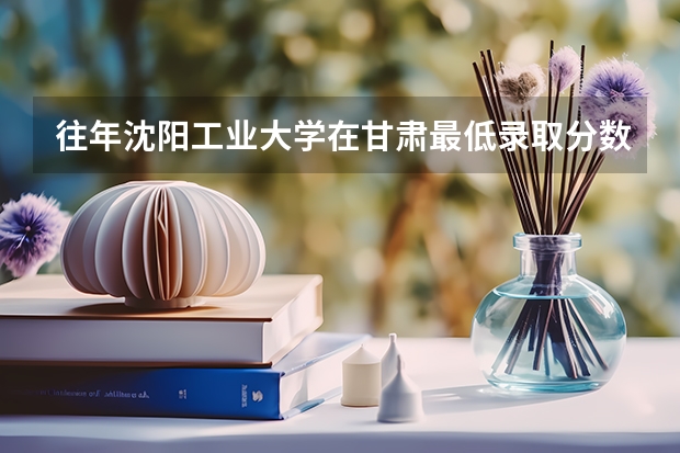 往年沈阳工业大学在甘肃最低录取分数参考