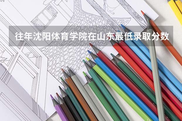 往年沈阳体育学院在山东最低录取分数参考