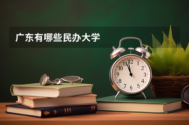 广东有哪些民办大学