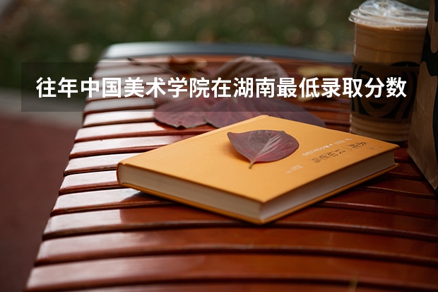 往年中国美术学院在湖南最低录取分数参考