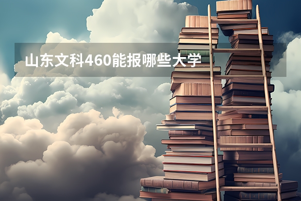 山东文科460能报哪些大学