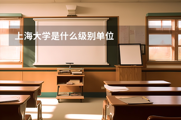 上海大学是什么级别单位