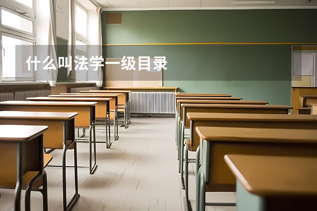 什么叫法学一级目录