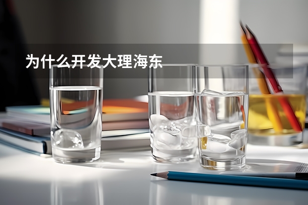 为什么开发大理海东