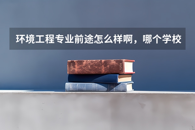 环境工程专业前途怎么样啊，哪个学校的比较好呢